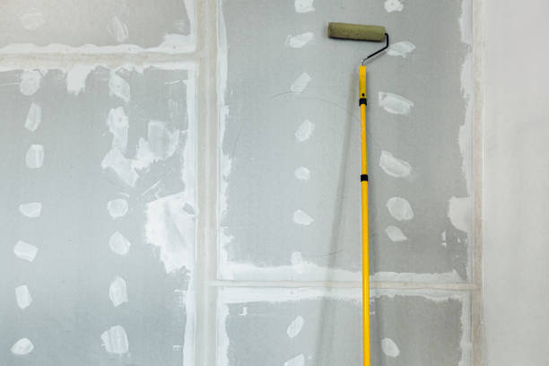 Best Mold Documentation for Insurance Claims  in Prairie Heights, WA