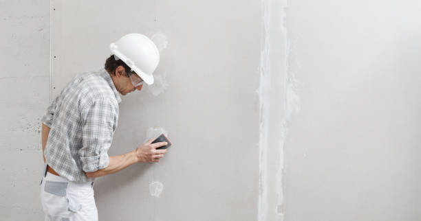 Best Black Mold Removal  in Prairie Heights, WA
