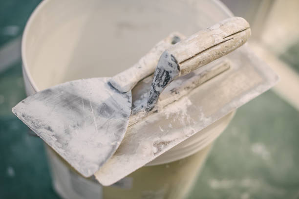Best Basement Mold Removal  in Prairie Heights, WA